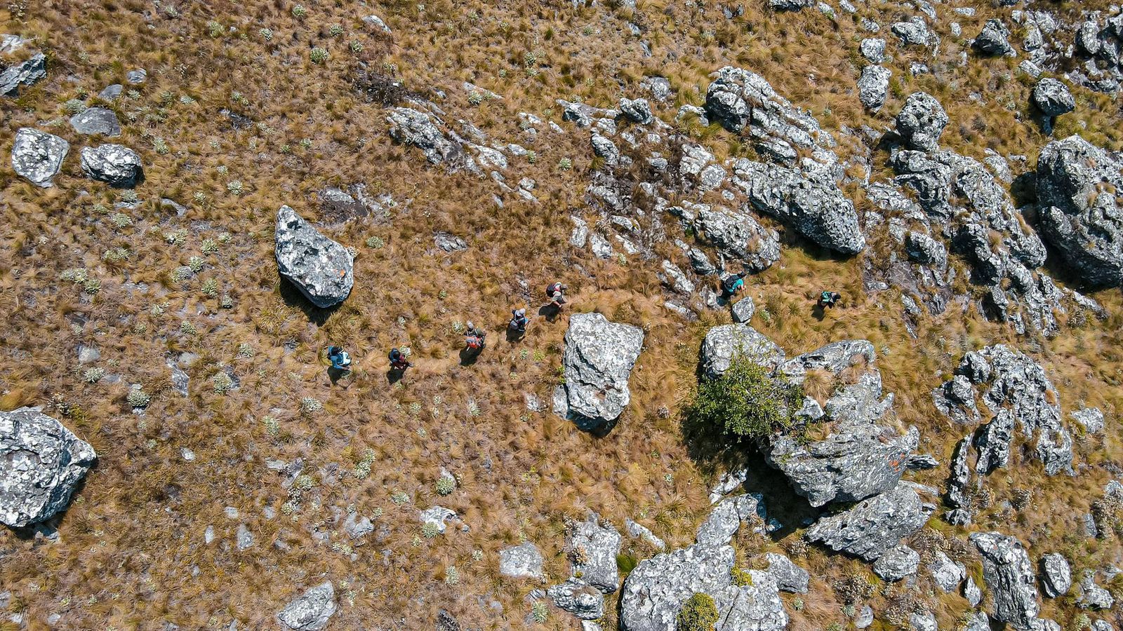 Chimanimani 5